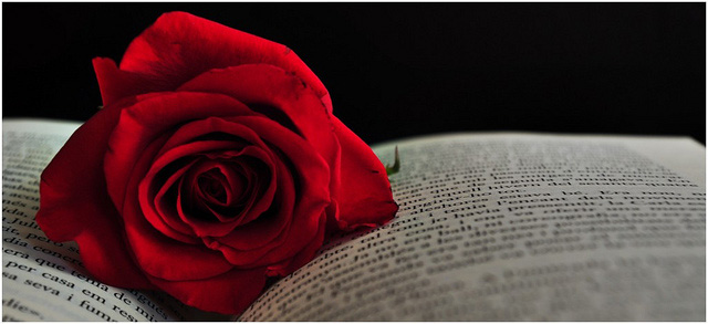 23 d'abril Dia internacional del llibreDiada de Sant Jordi